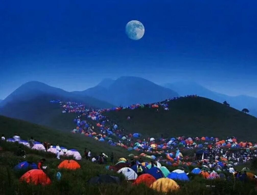 1681097189555617.jpg 1681097189555617.jpg