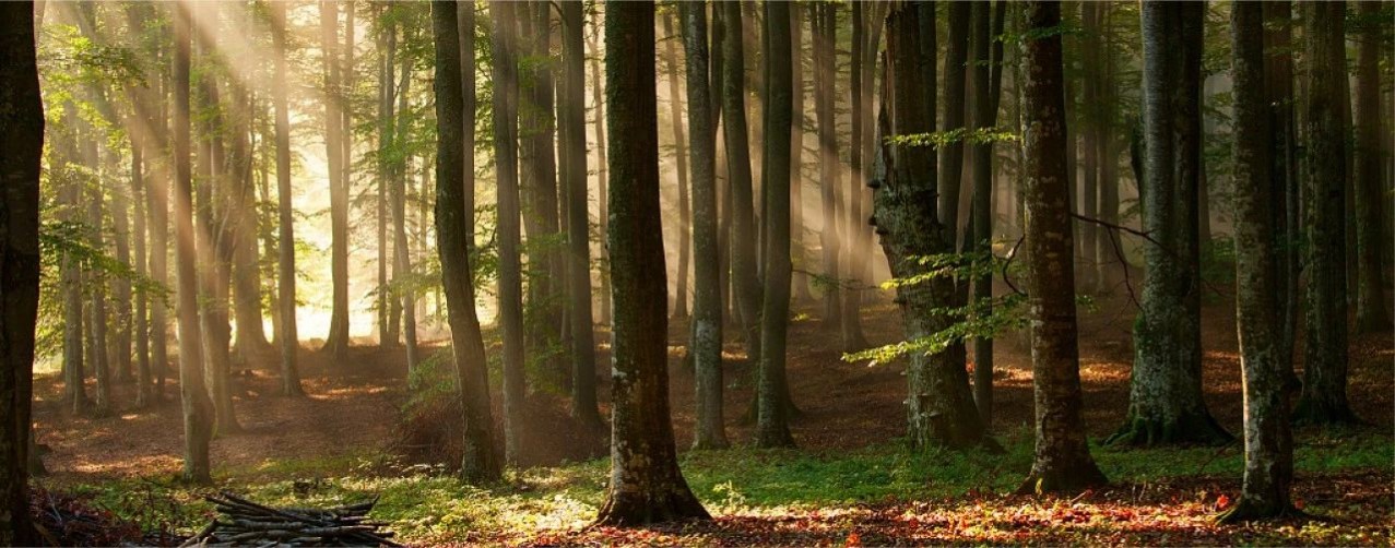 1702603142127129.jpg 1702603142127129.jpg