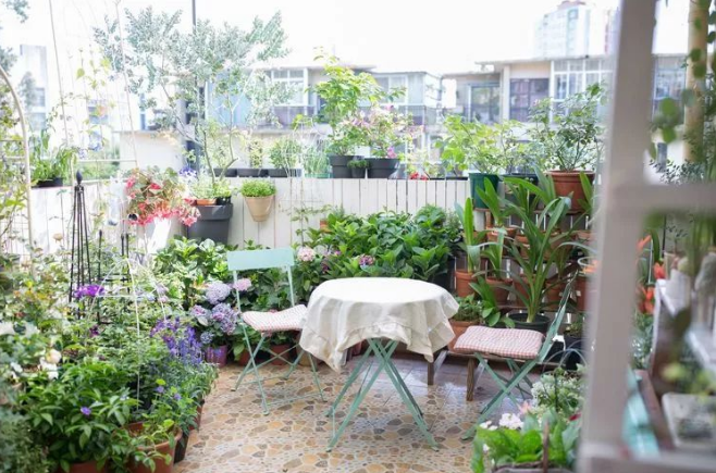 1704335418140764.png 1704335418140764.png